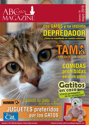 Portada ABCgatos Magazine No.16