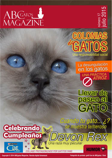 Portada ABCgatos Magazine No.17