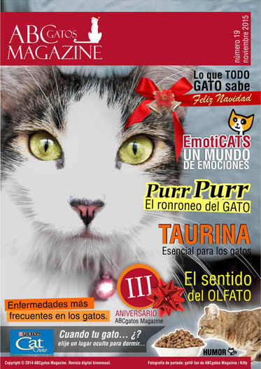 Portada ABCgatos Magazine No.19