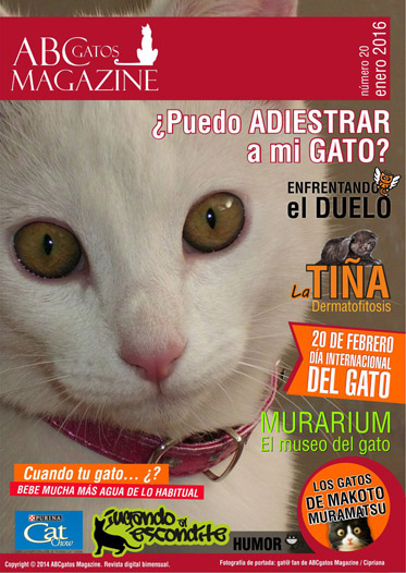Portada ABCgatos Magazine No.20