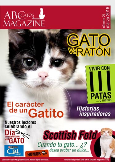 Portada ABCgatos Magazine No. 21