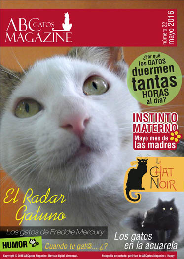 Portada ABCgatos Magazine No. 22