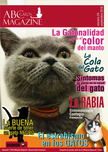 Portada ABCgatos Magazine No.24