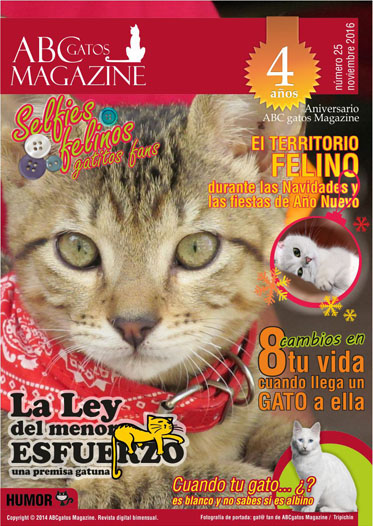Portada ABCgatos Magazine No.25