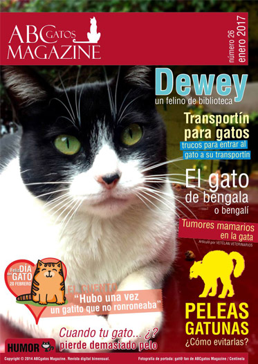 Portada ABCgatos Magazine No.26