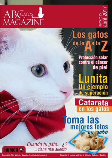 Portada ABCgatos Magazine No.27
