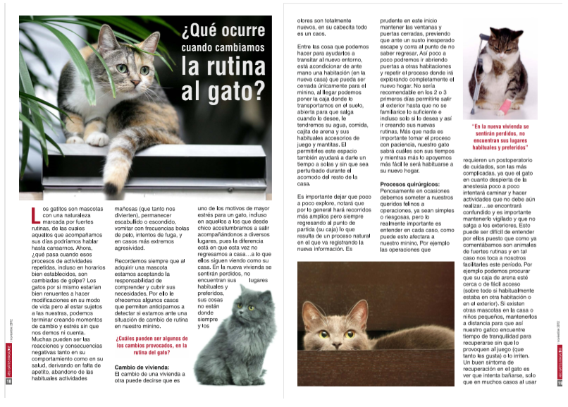¿Qué ocurre cuando le cambiamos la rutina al gato?