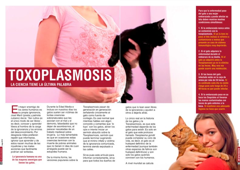 Toxoplasmosis. La ciencia tiene la última palabra.