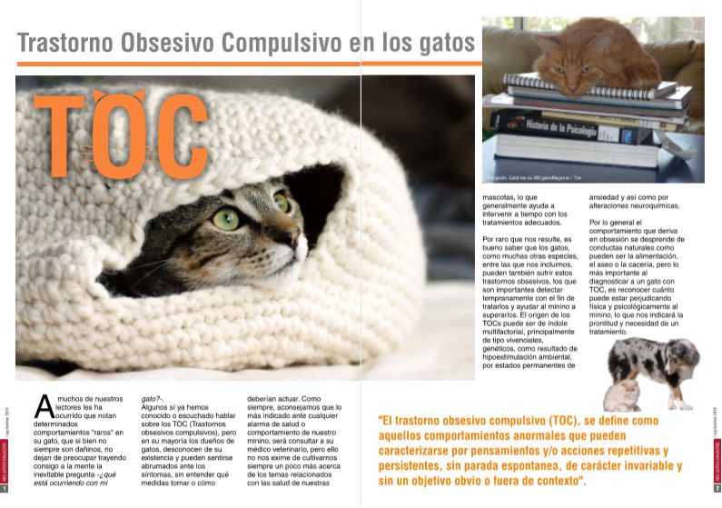 TOC, Trastorno Obsesivo Compulsivo