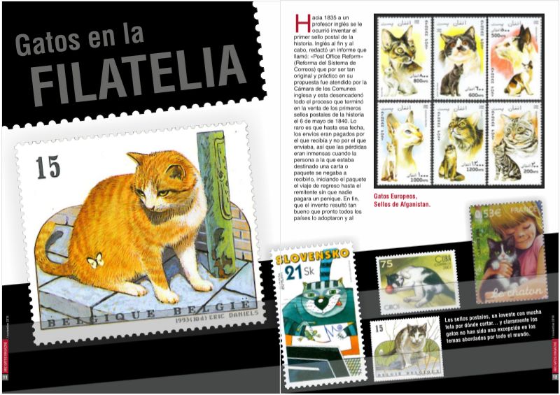 Portada ABCgatos Magazine No.13