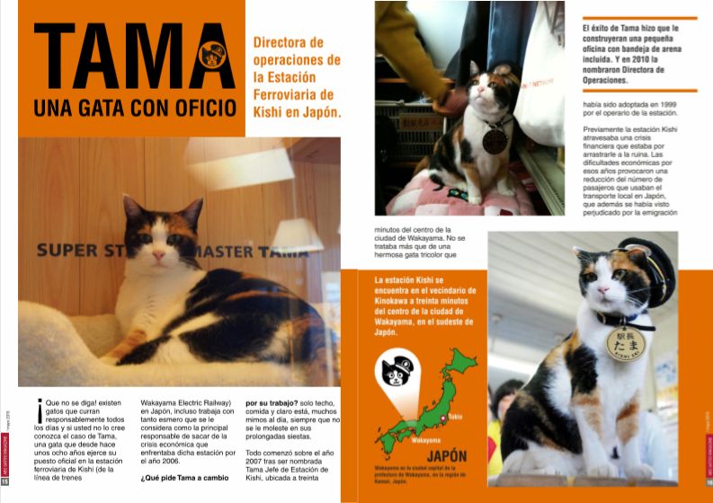 Tama una gata con oficio