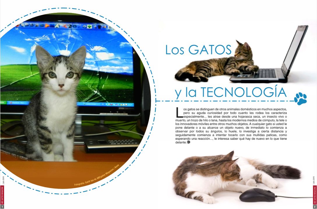 Los gatos y la tecnología.
