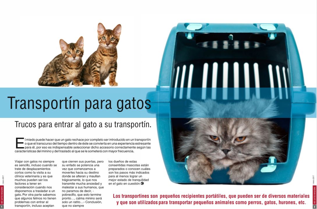 Transportín para gatos. Trucos para entrar al gato a su transportín.