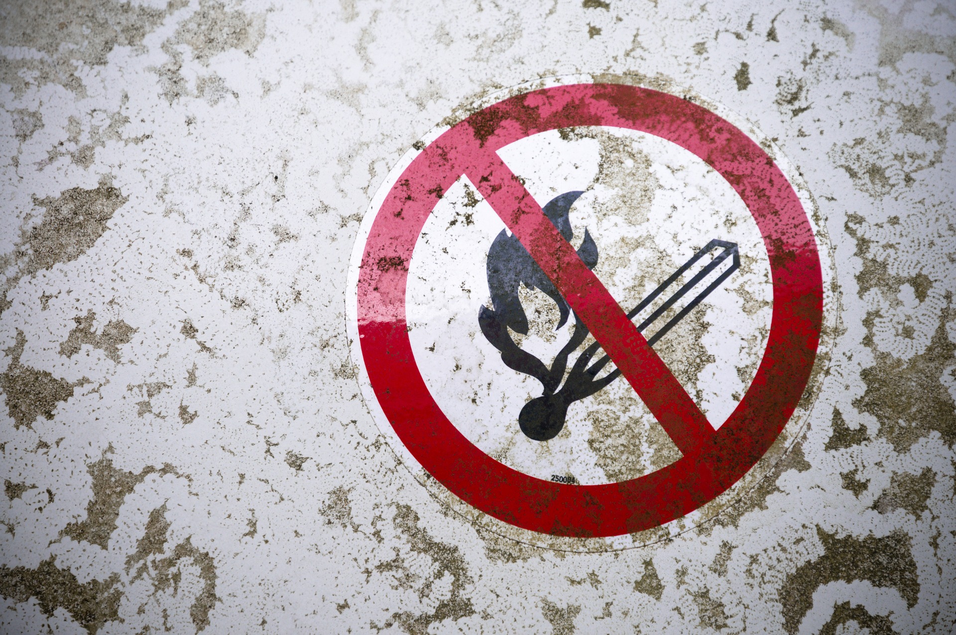 Услуги по обеспечению пожарной безопасности на предприятии и других ...