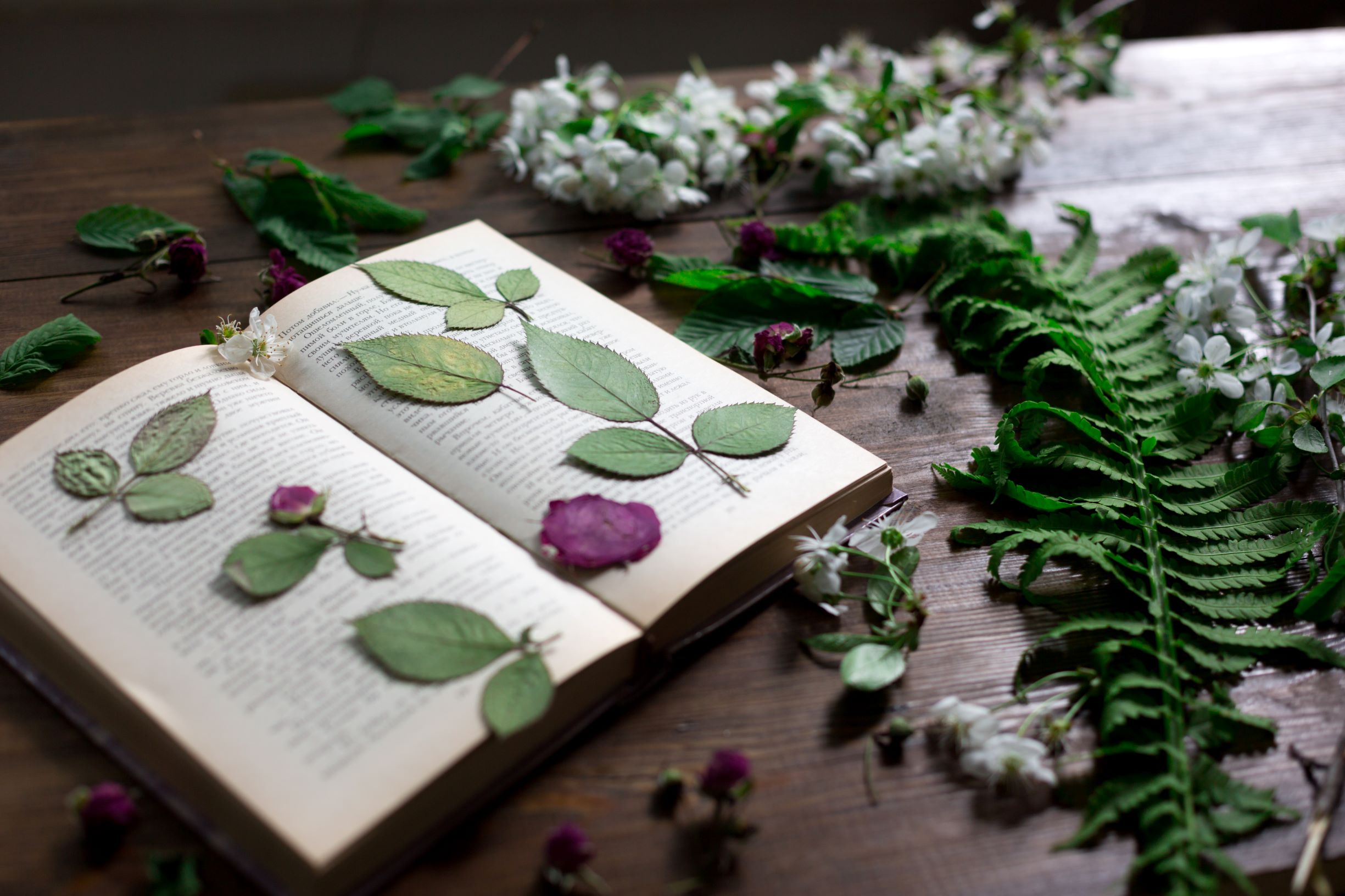 How To Preserve Your Wedding Flowers 2 5da9d4de8034e77c6e95b22e Pressed wedding flowers