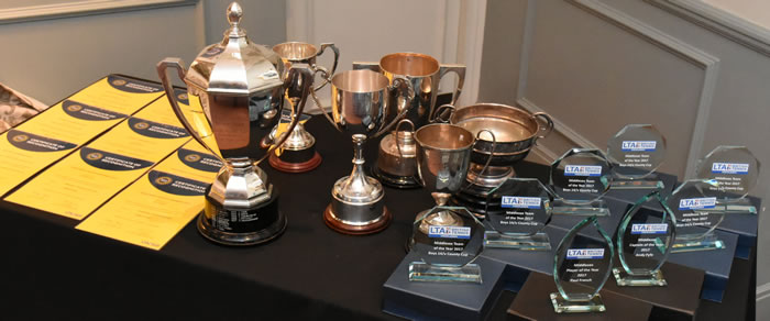 British Tennis Awards 2018 Trophies