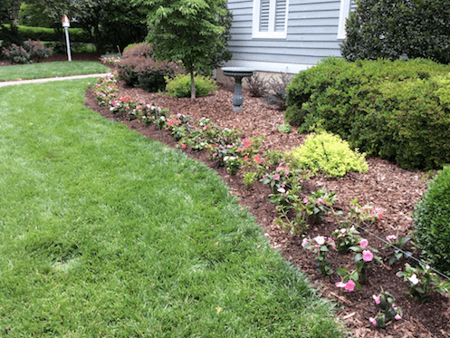 Flowers At Installation by Canopy Lawn Care