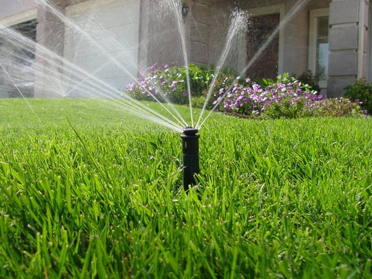 Tips-For-Watering-Lawn Canopy Raleigh NC Lawn Care