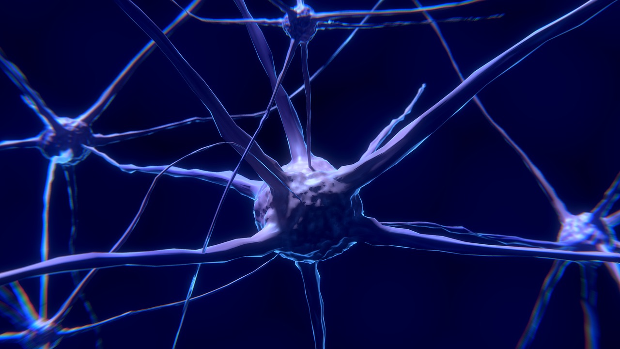 brain neuron cells