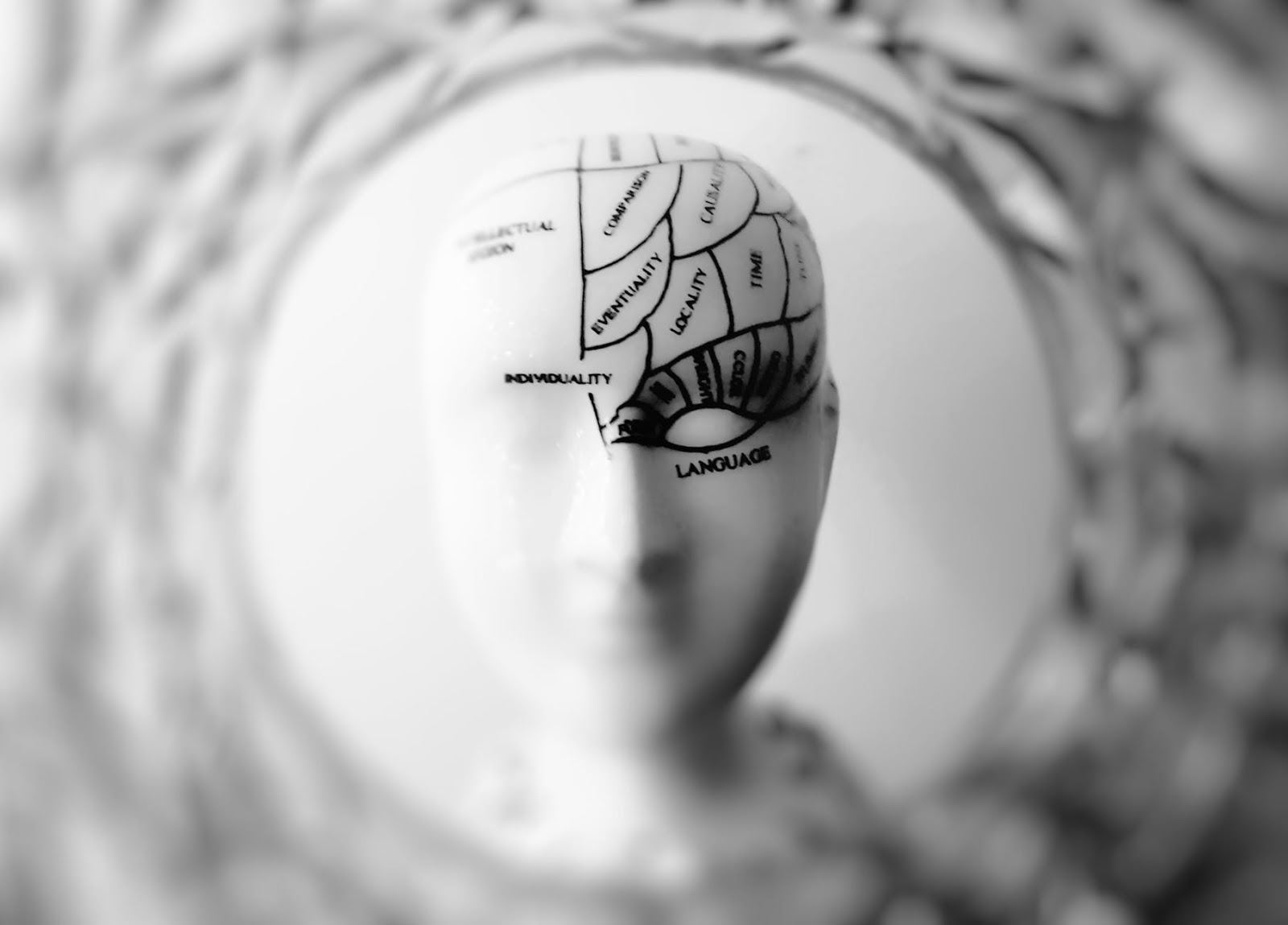 Map of the brain with functions