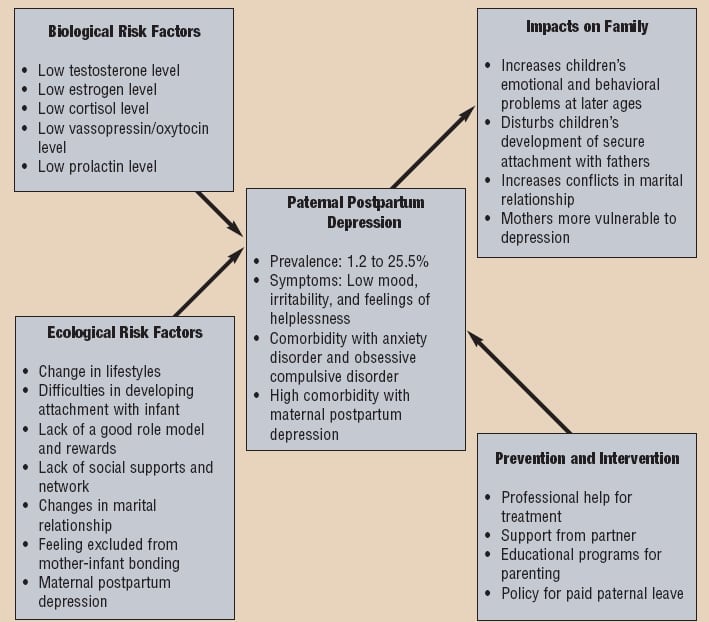 Types of risk factors relating to paternal postpartum depression.