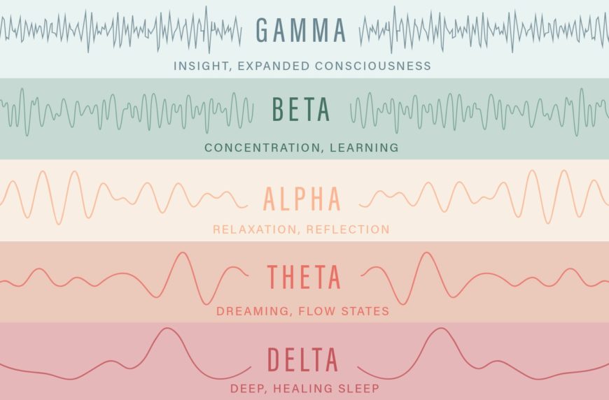 Different types of brain waves