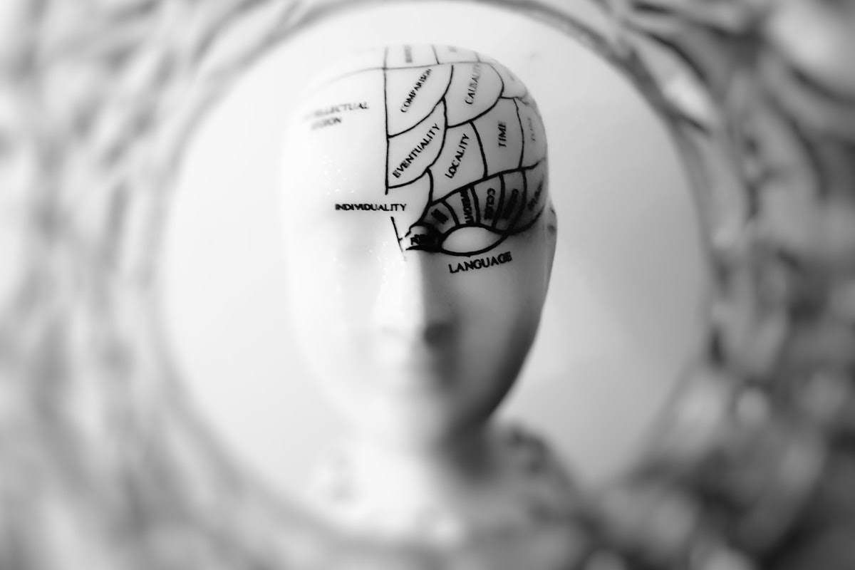 Pictured is a medical model where certain functions are mapped onto areas of the brain.