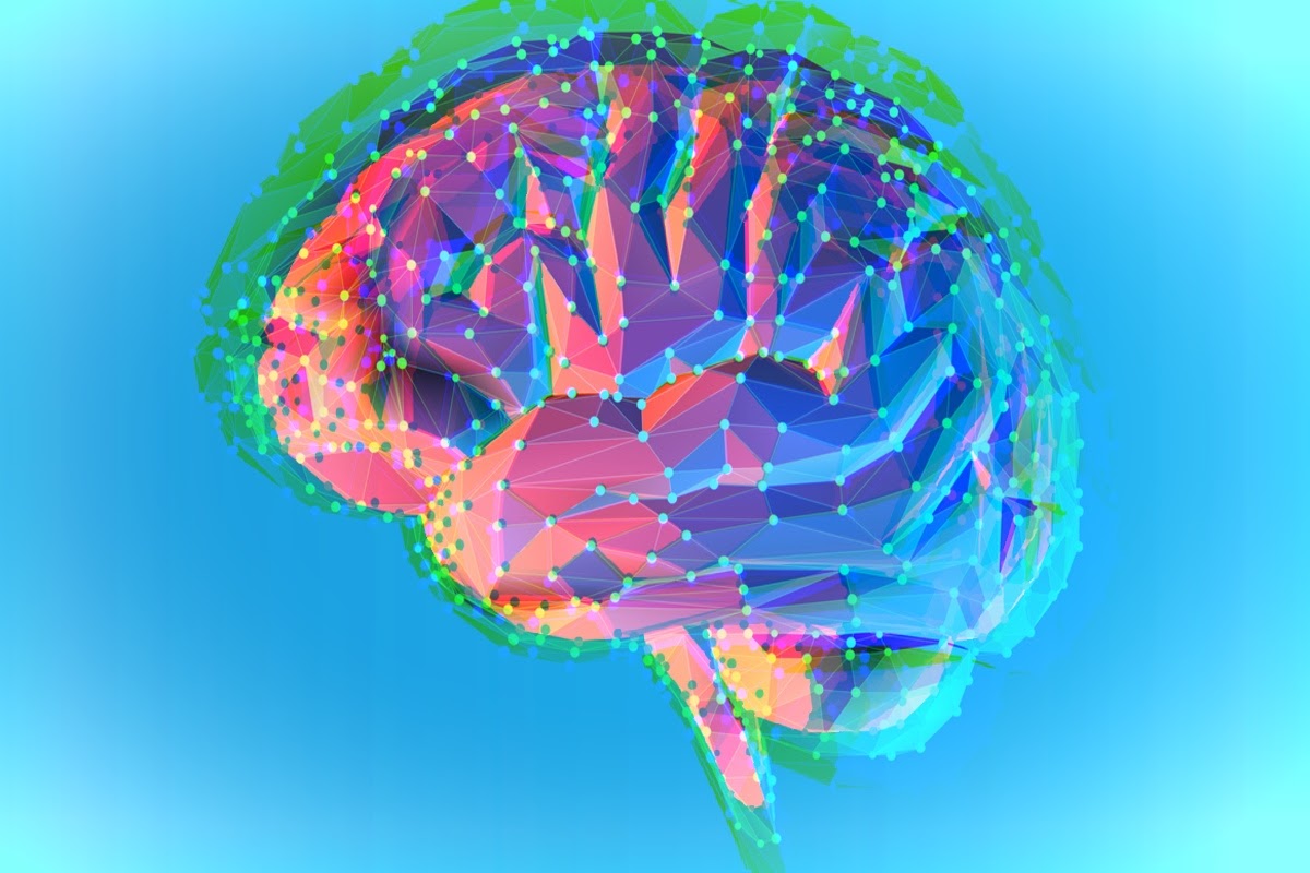 Photo of brain