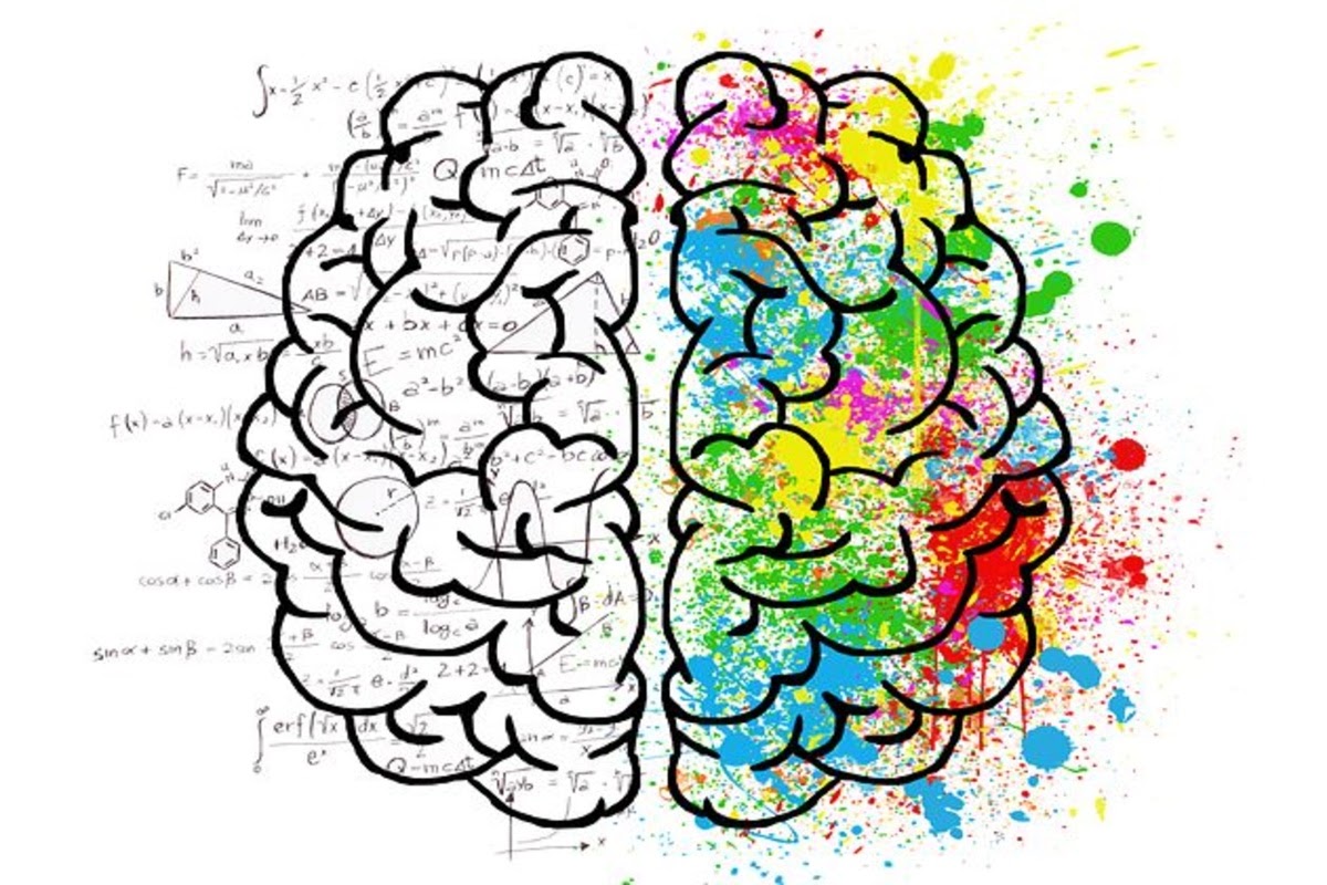 Photo of left brain vs right brain