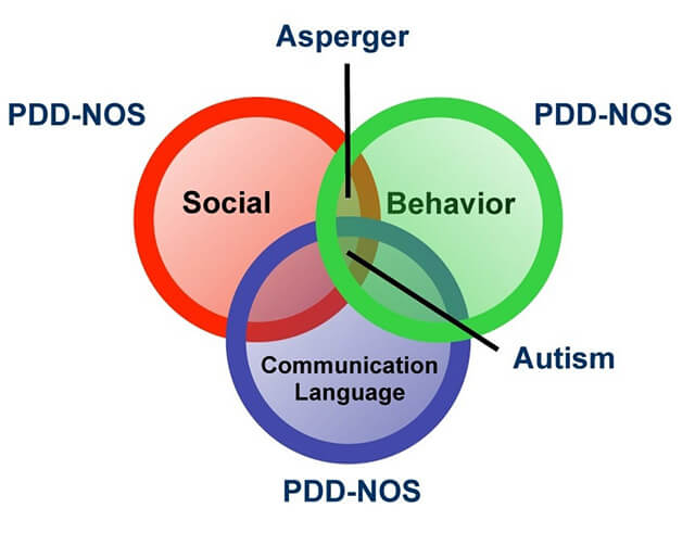 different types of autism