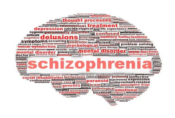 schizophrenia brain