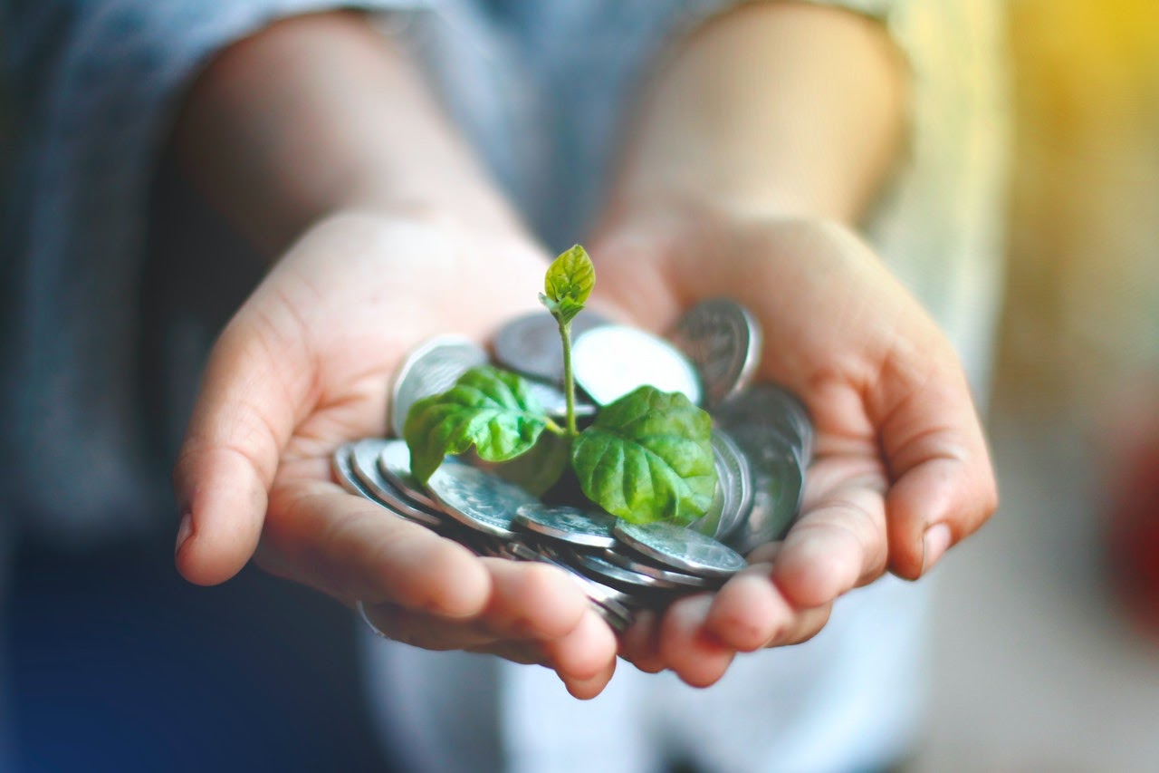 Person holding out there hands with coins in their palm. A plant grows out of the coins in the palms.
