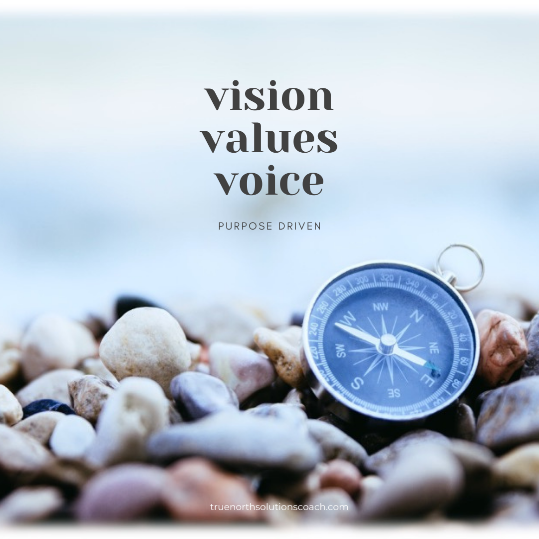 Vision Values Voice