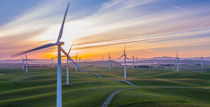 How to Select A Green Energy Plan for Your Business