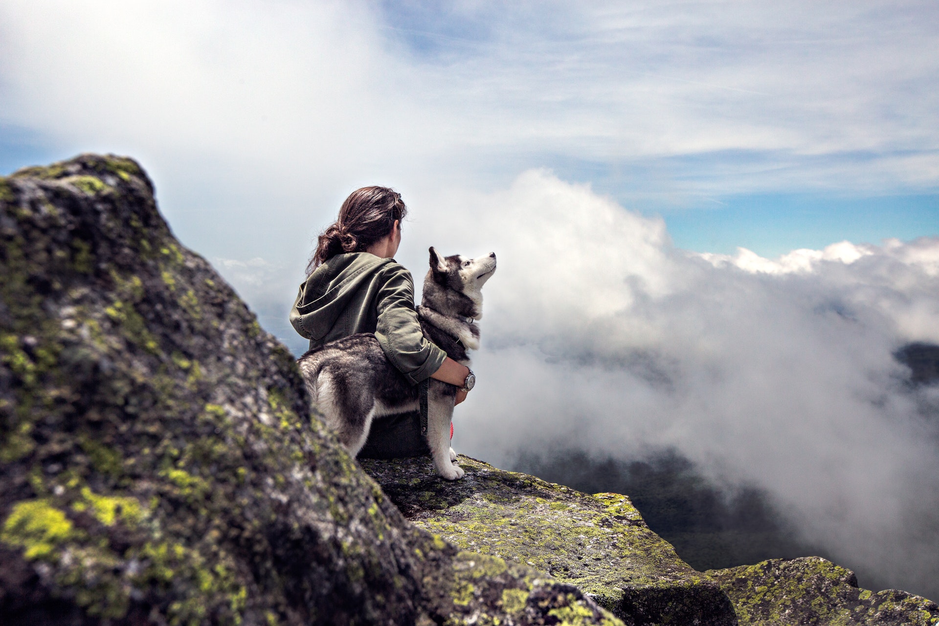A Guide To Hiking and Dog Care On The Trail Fauna Care