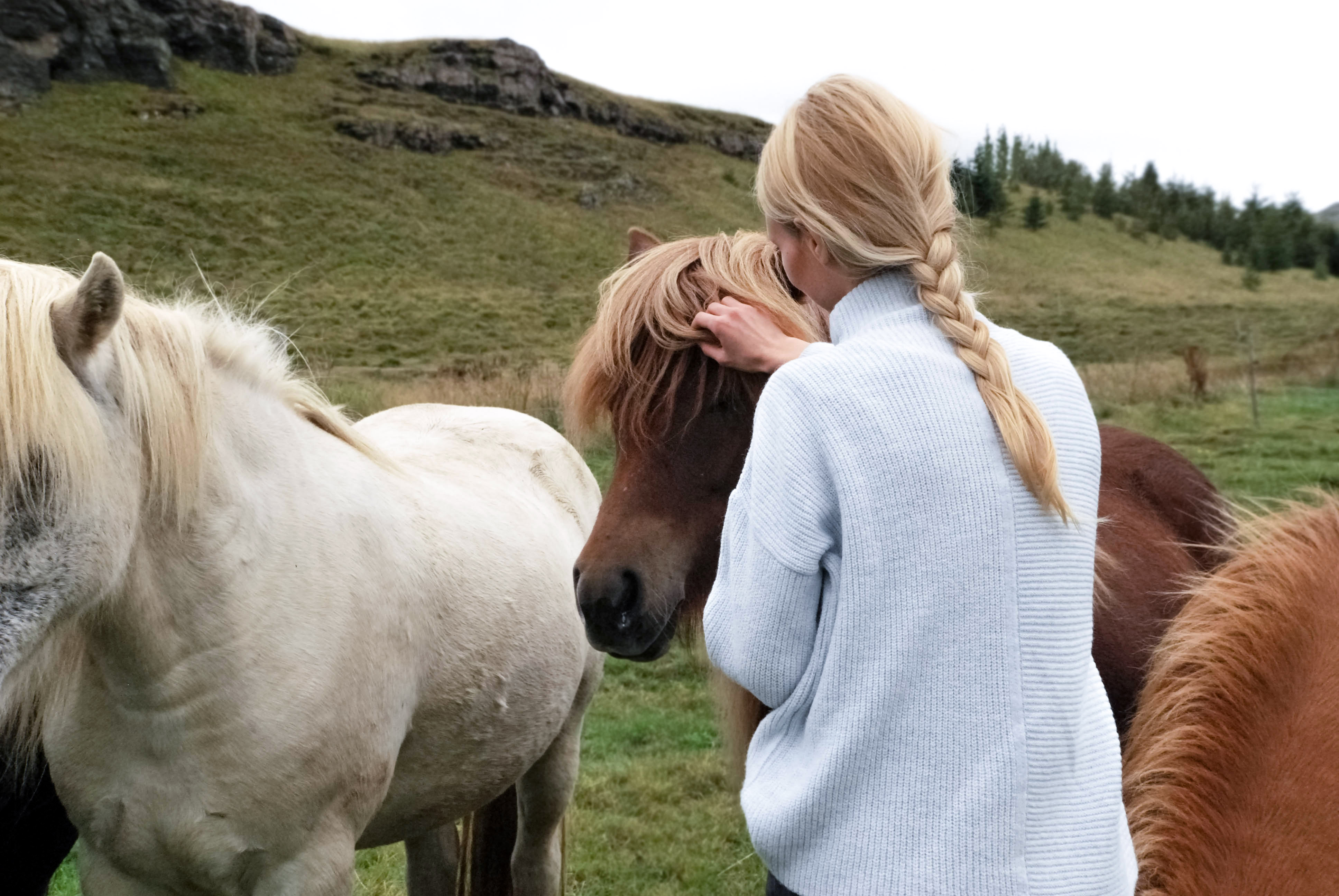 woman caring for horses