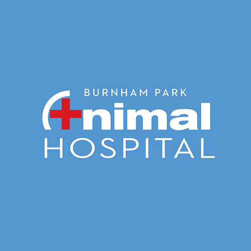 Burnham Park Animal Hospital logo