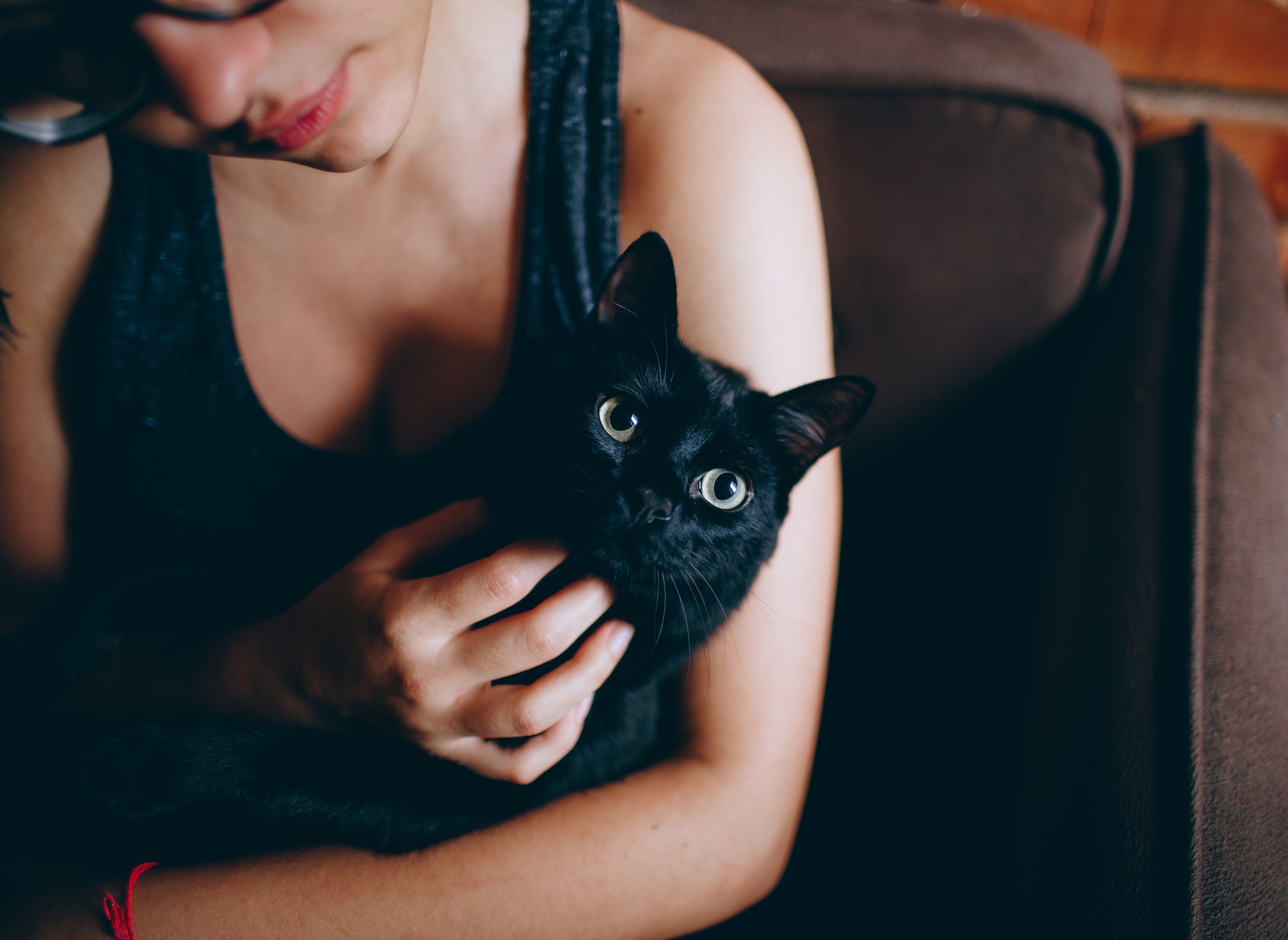 girl holding cat & rubbing its chin