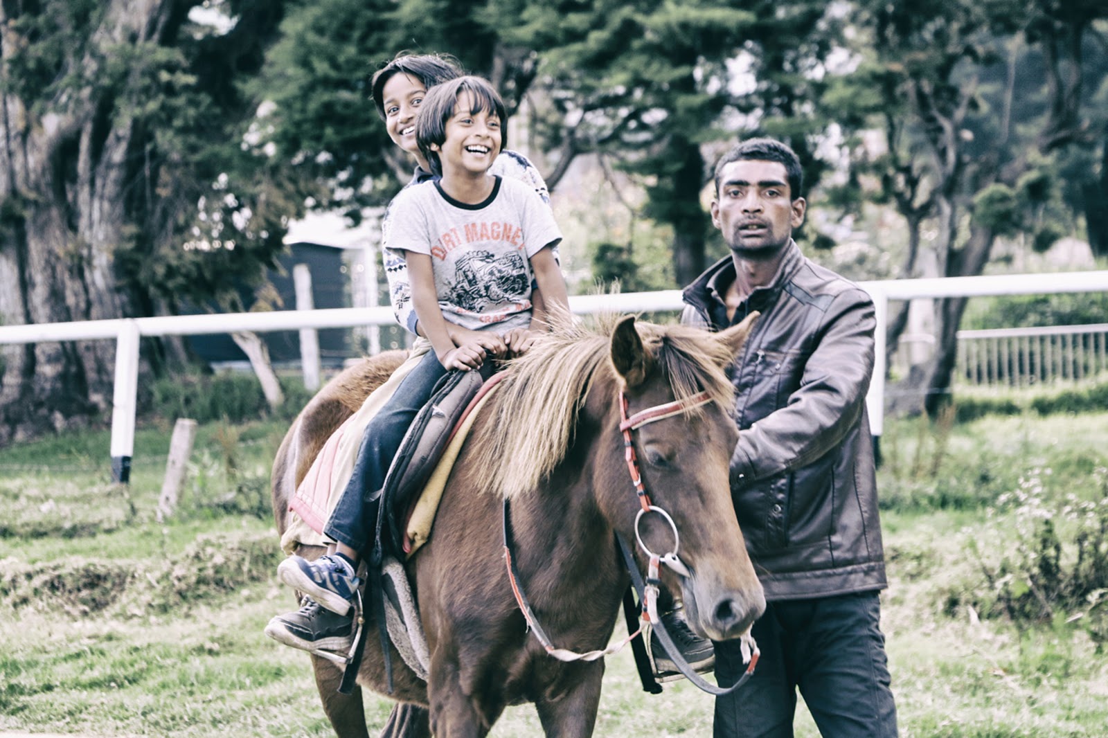 little boys riding horse with parent by side