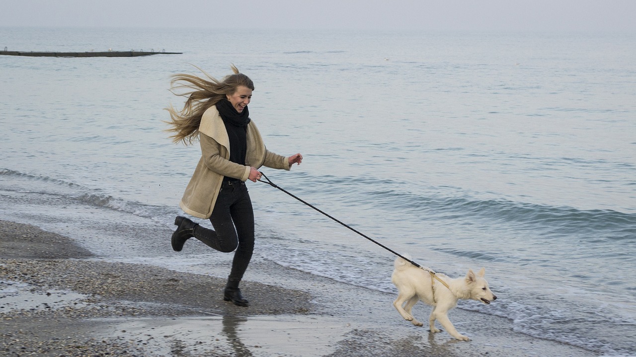 rambunctious, active dog running with owner on beach