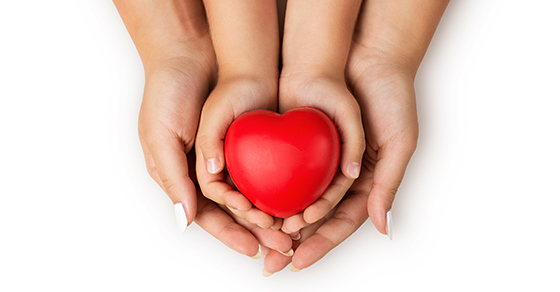 hands cupping hands cupping a heart