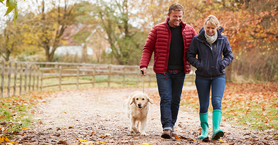 couple walking dog