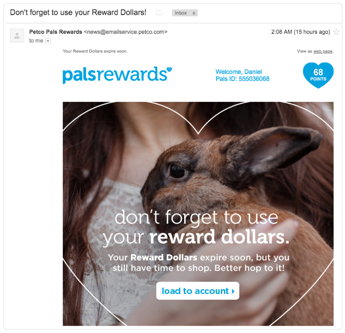 example of an email for a rewards program