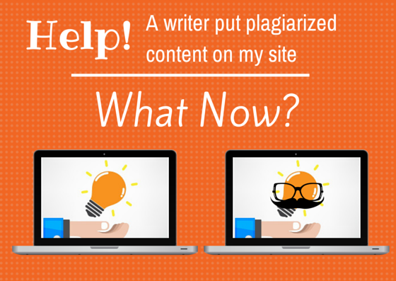 writer plagiarized content, what now?