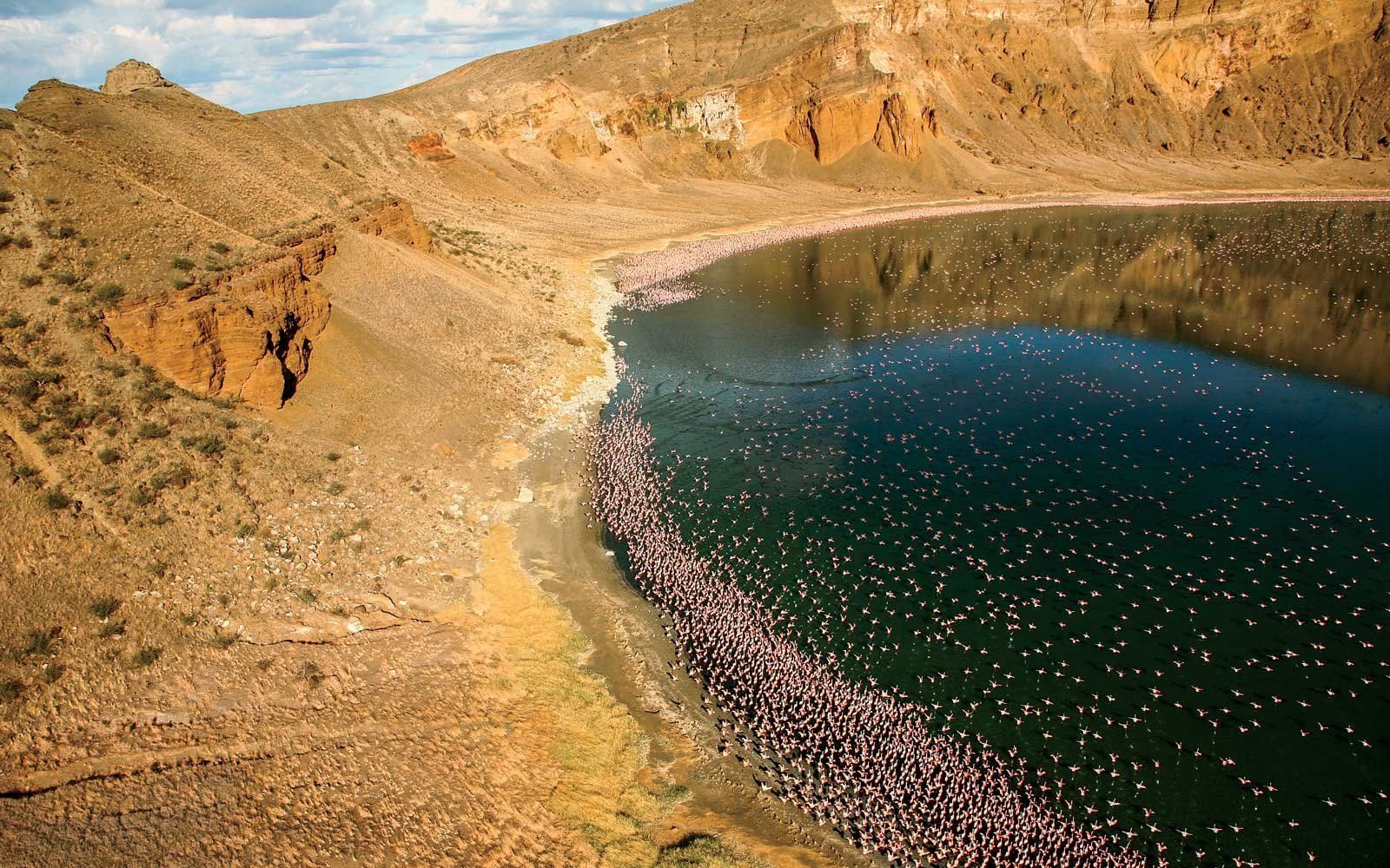 Lake Turkana, a lake inside a crater, with flamingoes