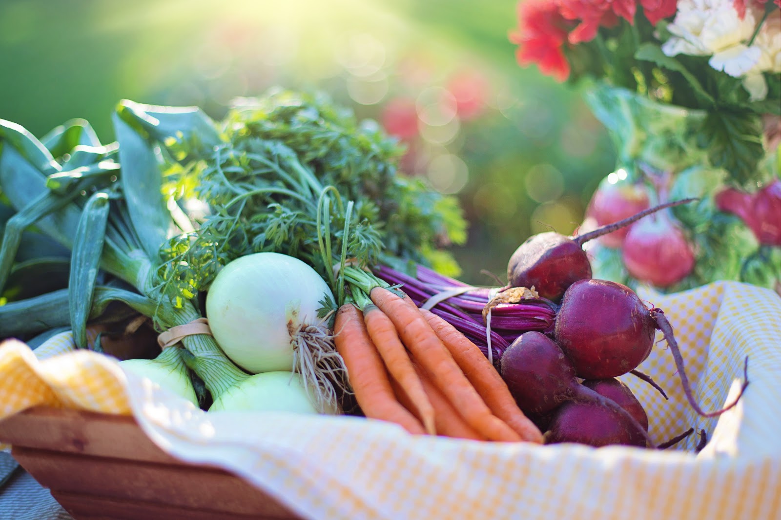 Fresh vegetables from the garden