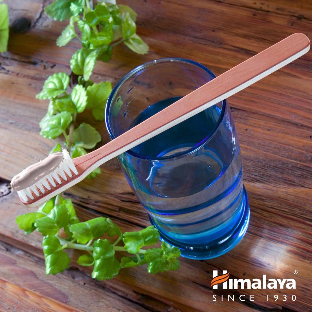 Himalaya Neem and Pomegranate Toothpaste