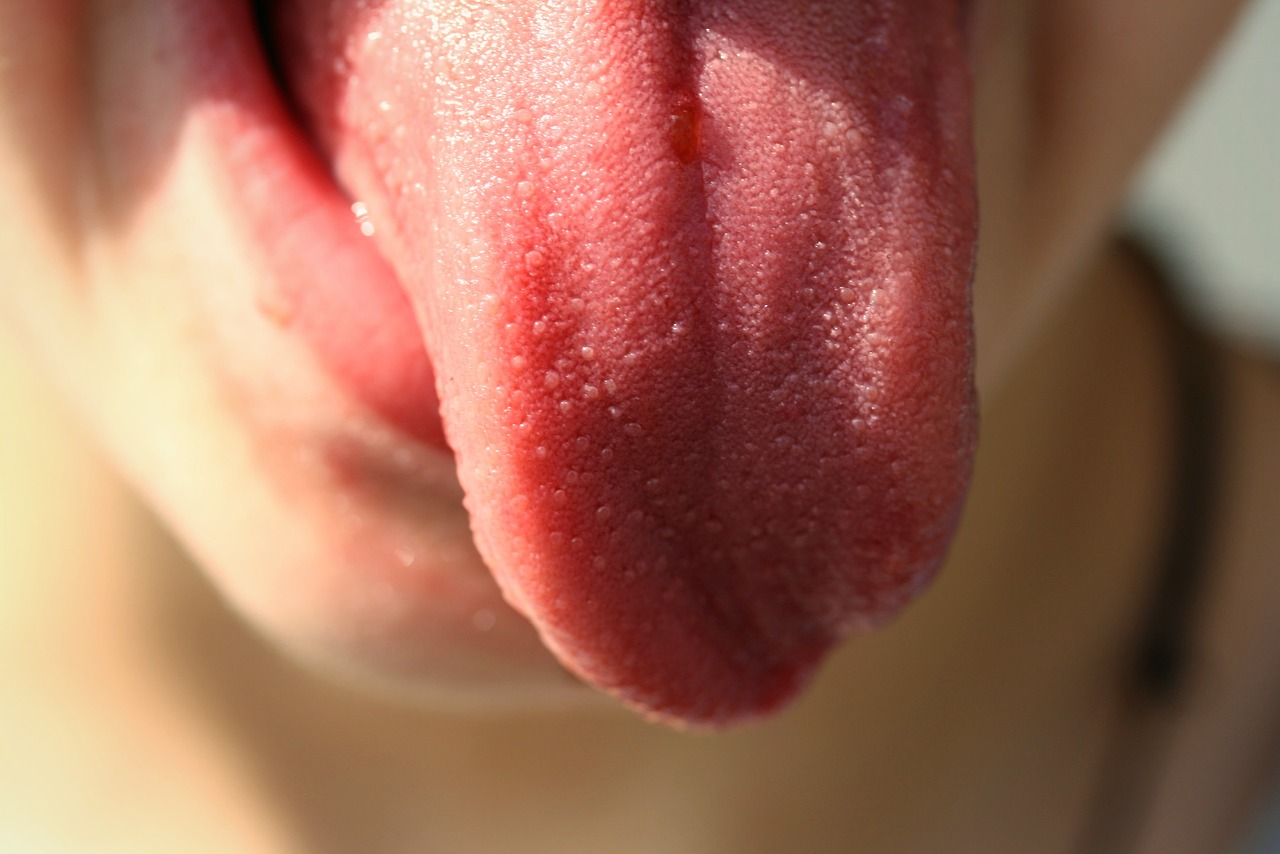 Close-up of a tongue sicking out