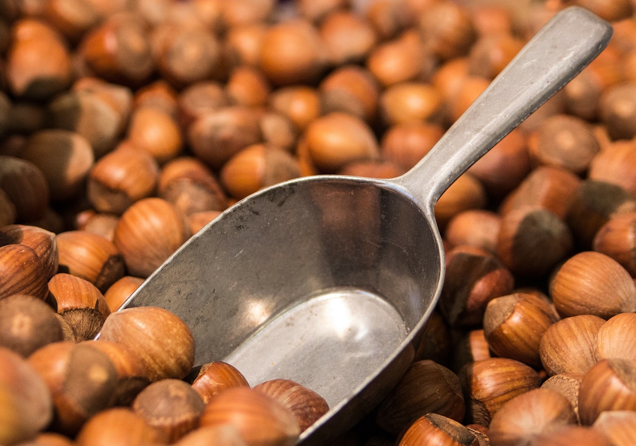Many hazelnuts with a small shovel jammed into the pile