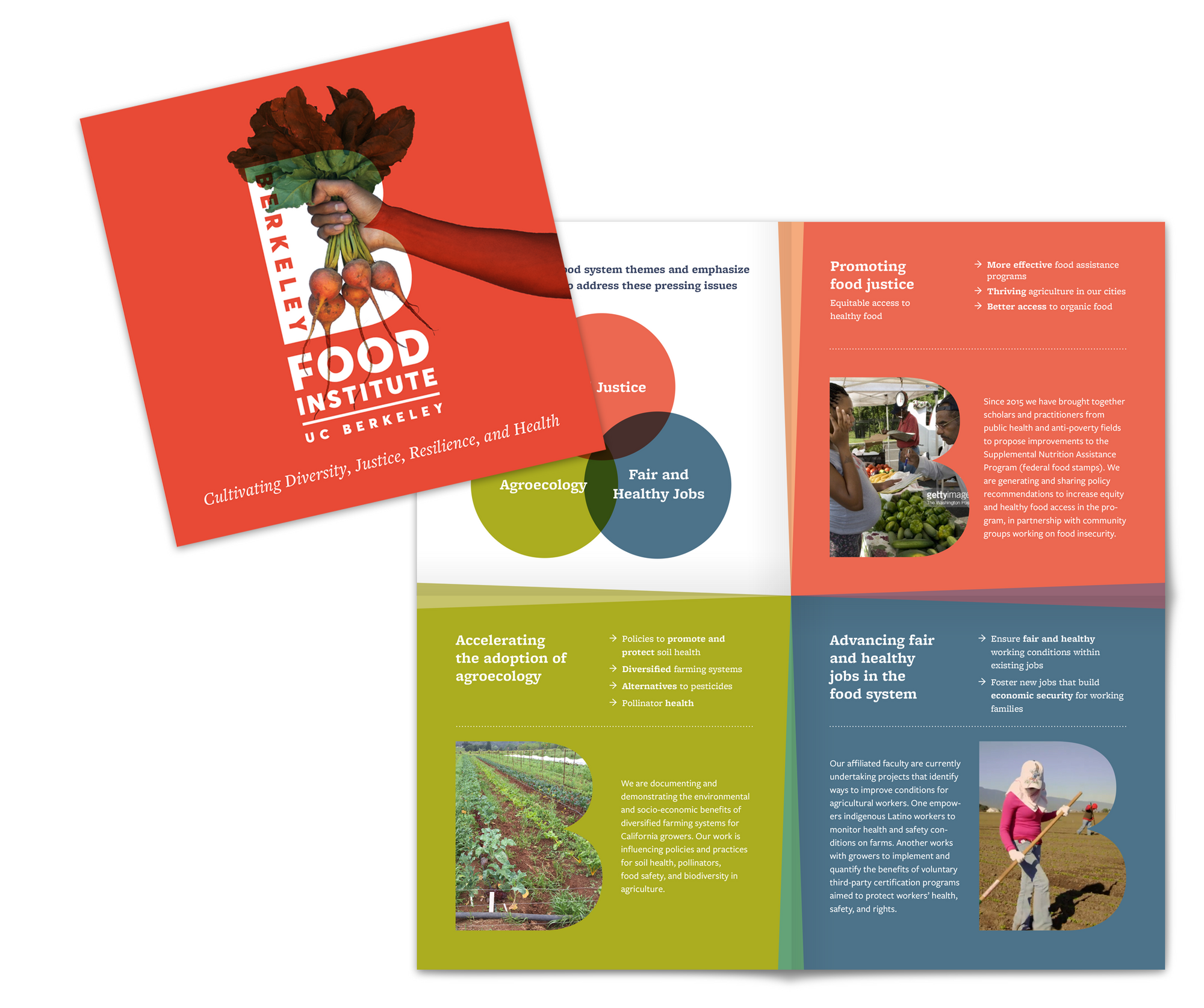 Celery + Berkeley Food Institute